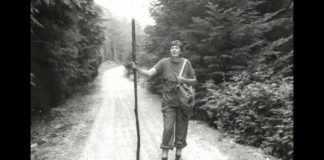 Una mostra di disegni inediti per rendere omaggio ad Antonia Campi, rivoluzionaria nella storia del design