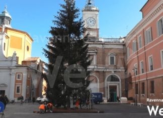 Con l’albero in piazza Ravenna si prepara al Natale: niente pista di pattinaggio e mercatini, ma regali a domicilio e incentivi per le spese natalizie