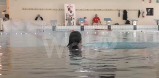 Nuoto: gli allenamenti degli atleti continuano nella vasca di via Marozza