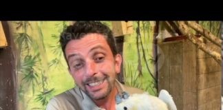 Safari Ravenna: arrivederci al 2021