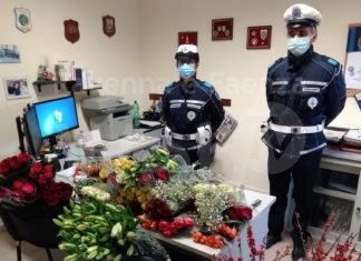La Polizia locale sequestra 67 mazzi di fiori a venditore abusivo