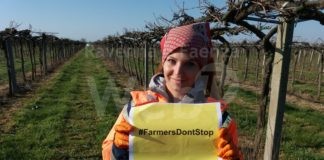 Innovazione ecologica e lotta al cambiamento climatico: il report 2020 delle coop agricole braccianti