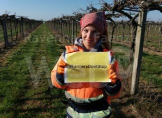 Innovazione ecologica e lotta al cambiamento climatico: il report 2020 delle coop agricole braccianti