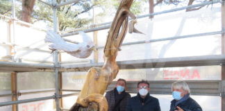 ‘L’Alieno’ del Parco Bucci torna ad essere visibile: terminato il restauro su ‘EcàP’