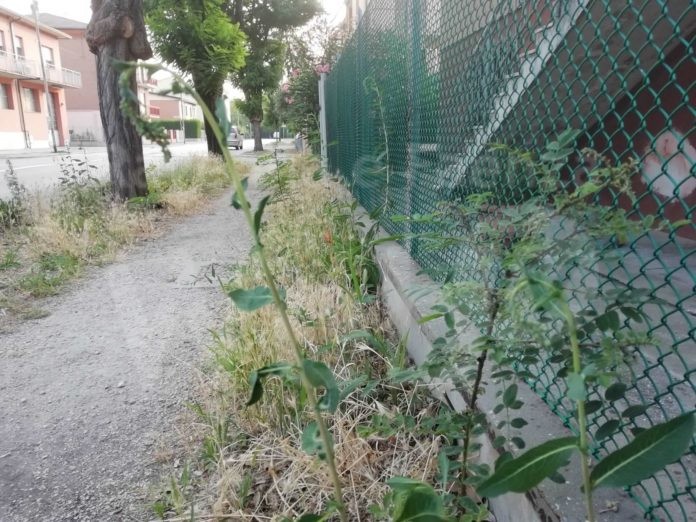 Marciapedi via Caprera foto 3