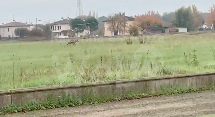 Schermata 2020-12-02 alle 18.08.06