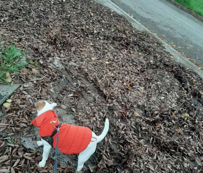 Schermata 2020-12-09 alle 17.48.09