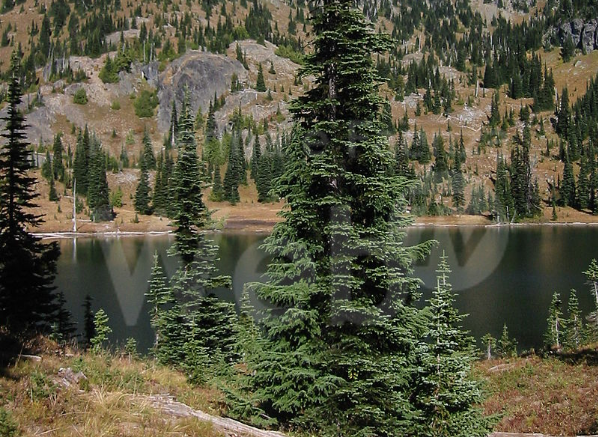 Schermata 2020-12-19 alle 11.37.38