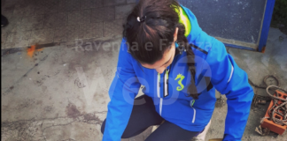 Il Cestha di Marina di Ravenna compie 5 anni: i progetti più importanti legati a seppie, squali e tartarughe