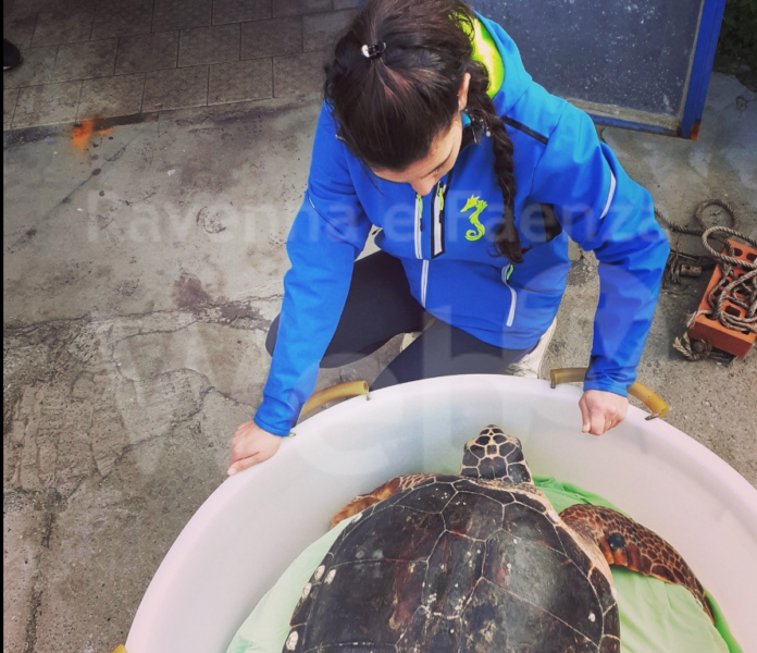 Schermata 2020-12-24 alle 14.44.34