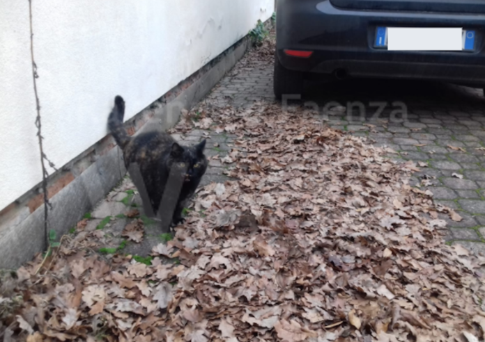 Schermata 2020-12-28 alle 14.31.46