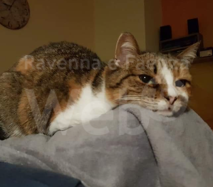 Schermata 2020-12-30 alle 17.35.02