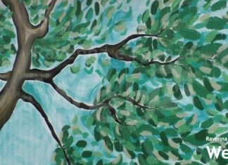 L’albero della vita: studentesse e professoresse del Ballardini decorano il triage dell’Oncologia di Faenza