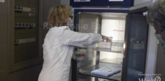 Arrivati al Pala de Andrè i vaccini, alle 14 le prime vaccinazioni