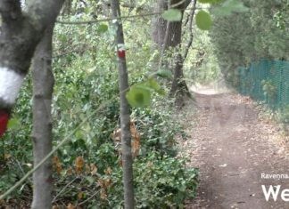 “Nei loro passi”: una camminata a Castel Raniero per ricordare la Liberazione