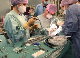 Il dottor De Vito e la sua equipe applicano le prime due protesi acustiche osteointegrate a Ravenna