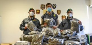 GDF Ravenna: Operazione “Sick Horse” sequestrati oltre 22 kg di marijuana