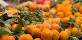 Una mattinata a tutta vitamina C: sabato il Mercato Contadino Coperto di Campagna Amica celebra i frutti