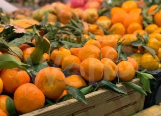 Una mattinata a tutta vitamina C: sabato il Mercato Contadino Coperto di Campagna Amica celebra i frutti