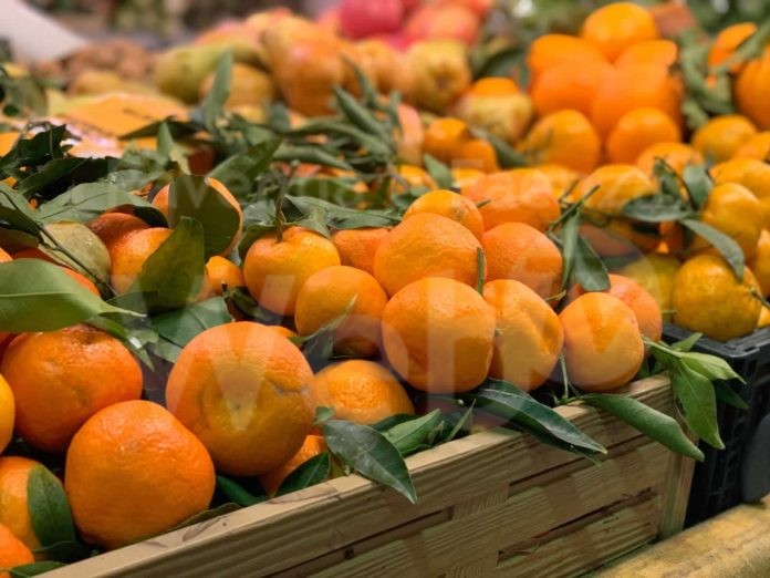 Agrumi mercato