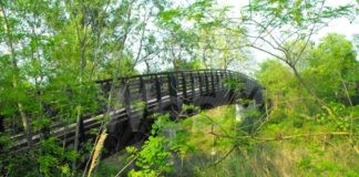 Al mare in bicicletta, da Castrocaro a Lido di Dante. Via alla realizzazione di una pista di circa 27 Km sugli argini del fiume Montone