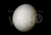 Venere, il gemello della Terra: nuovo appuntamento online con gli Astrofili