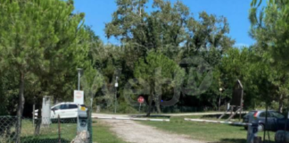 Ancisi (LpRa): “Bocciato il nuovo impianto di telefonia cellulare vicino alla foce del Bevano”