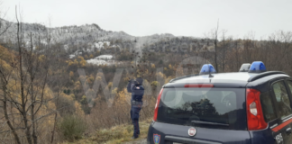 Tutela della fauna e dei boschi, lotta alla pesca abusiva, controllo del territorio: il 2020 dei Carabinieri Forestali