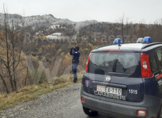 Tutela della fauna e dei boschi, lotta alla pesca abusiva, controllo del territorio: il 2020 dei Carabinieri Forestali