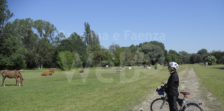 Fiab Ravenna: sabato una pedalata tra industria e natura