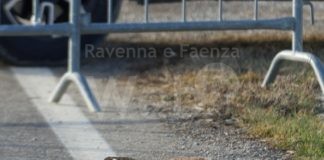 Rimosso l’ordigno bellico a San Pancrazio: era stato posizionato lungo la strada da qualcuno