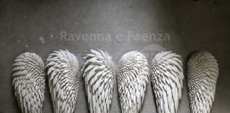 Premio Faenza: iniziano i “Talks” con gli artisti