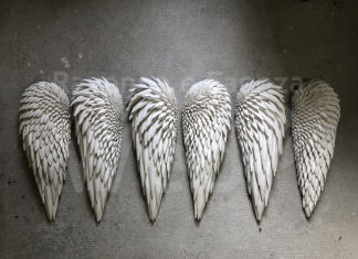 Premio Faenza: iniziano i “Talks” con gli artisti