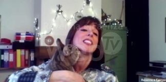 Ritrovato dopo 8 anni il gatto Mandarino, il racconto di Monica