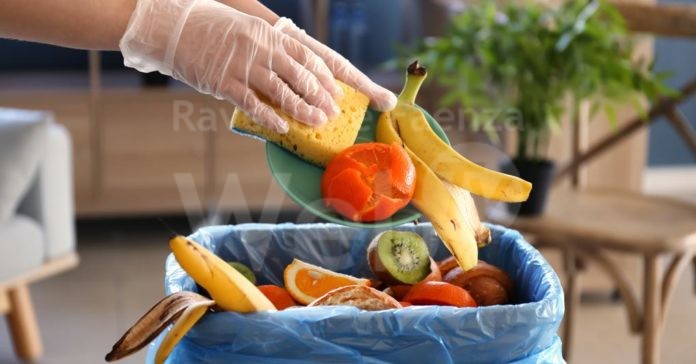 spreco-adobe-kqJE--1020x533@IlSole24Ore-Web