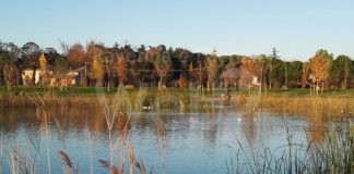 Dima (LpRa): “Cinque proposte per un Parco Baronio più attraente e fruibile”