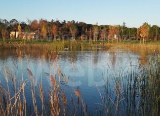 Verde urbano, un nuovo percorso ciclopedonale per il Parco Baronio
