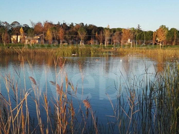 21-02-05 parco baronio 2