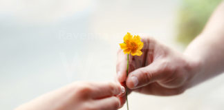 “Per una educazione alla gentilezza”: venerdì una diretta per promuovere il rispetto e la comprensione delle differenze di genere