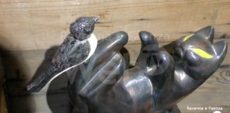 Con Artegatto Artefatto i felini tornano a diventare opera d’arte