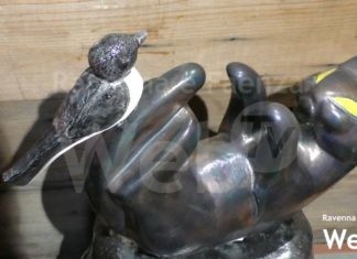 Con Artegatto Artefatto i felini tornano a diventare opera d’arte