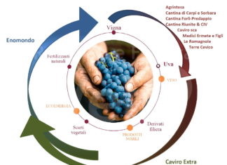 Nasce “Legàmi di Vite”, un importante contratto di sviluppo “green” nel comparto vitivinicolo