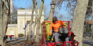 Lavori di manutenzione dei vialetti ciclopedonali di viale dello Stradone