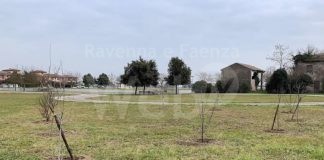 Lugo: nuove piante al Parco Berardi, messi a dimora 10 alberi di frutti dimenticati