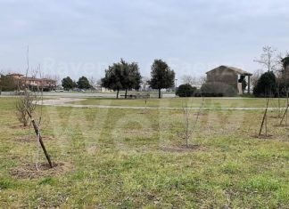 Lugo: nuove piante al Parco Berardi, messi a dimora 10 alberi di frutti dimenticati
