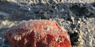 Raccoglie blocco di fosforo in spiaggia, 14enne si ustiona