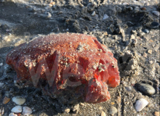 Raccoglie blocco di fosforo in spiaggia, 14enne si ustiona