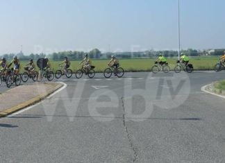 Ambiente: Fiab Ravenna pianterà 20 alberi lungo la Ciclabile del Mare