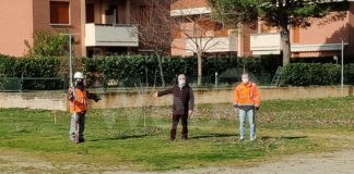 Consorzio Cervia Parcheggi: al via da lunedì i lavori di costruzione del primo parcheggio pertinenziale in viale Colombo
