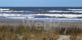 Giornata dedicata alla pulizia dei fondali marini e della pineta dalla plastica